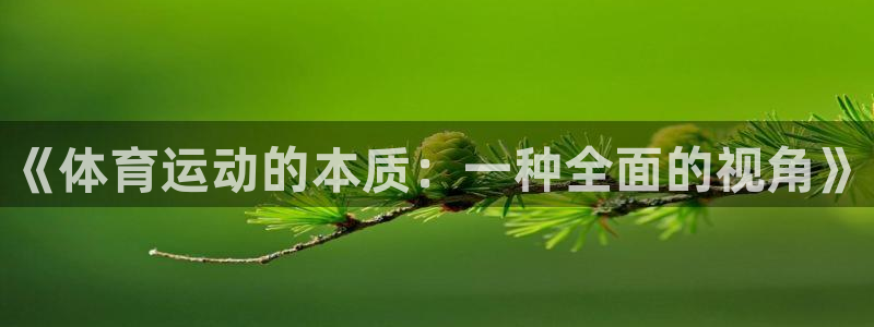 公海赌赌船官方正版app娱乐网站:《体育运动的本质:一种全面