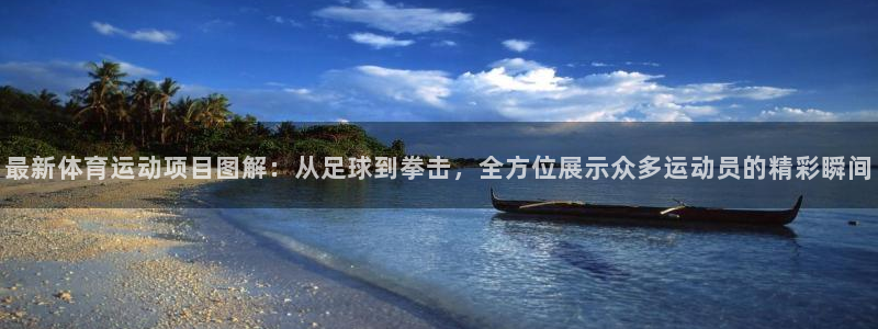 公海赌赌船官方集团官网:最新体育运动项目图解:从足球到拳击,